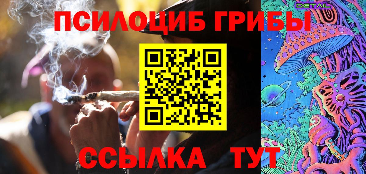 Новотроицк  Галлюциногенные грибы Psilocybe  Вход с VPN 
